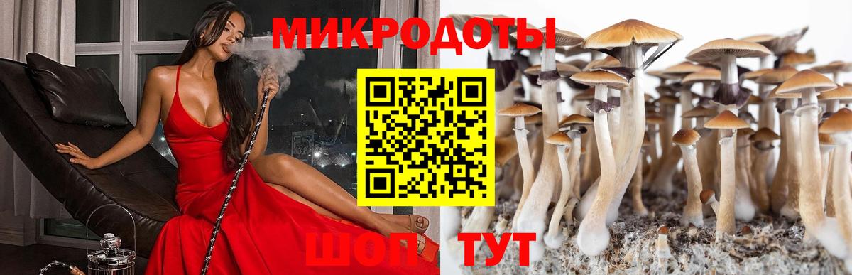 Котельники  Галлюциногенные грибы Magic Shrooms  Вход с VPN 